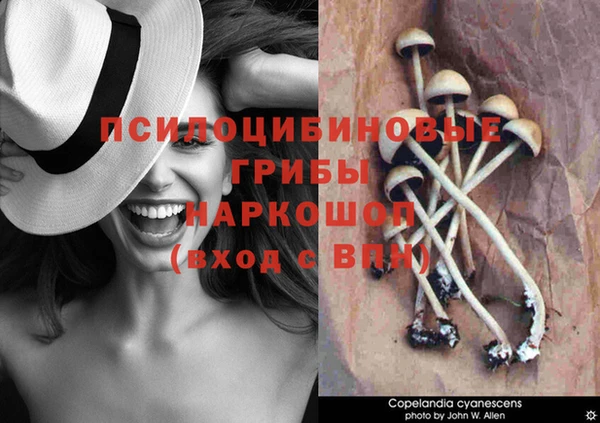 ALPHA-PVP Богданович