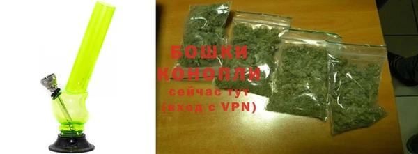 таблы Богородицк