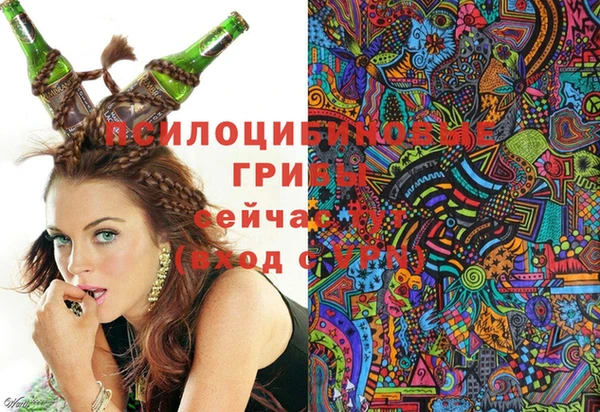 таблы Богородицк