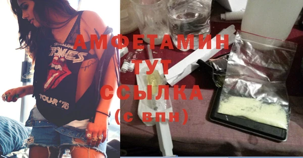 таблы Богородицк